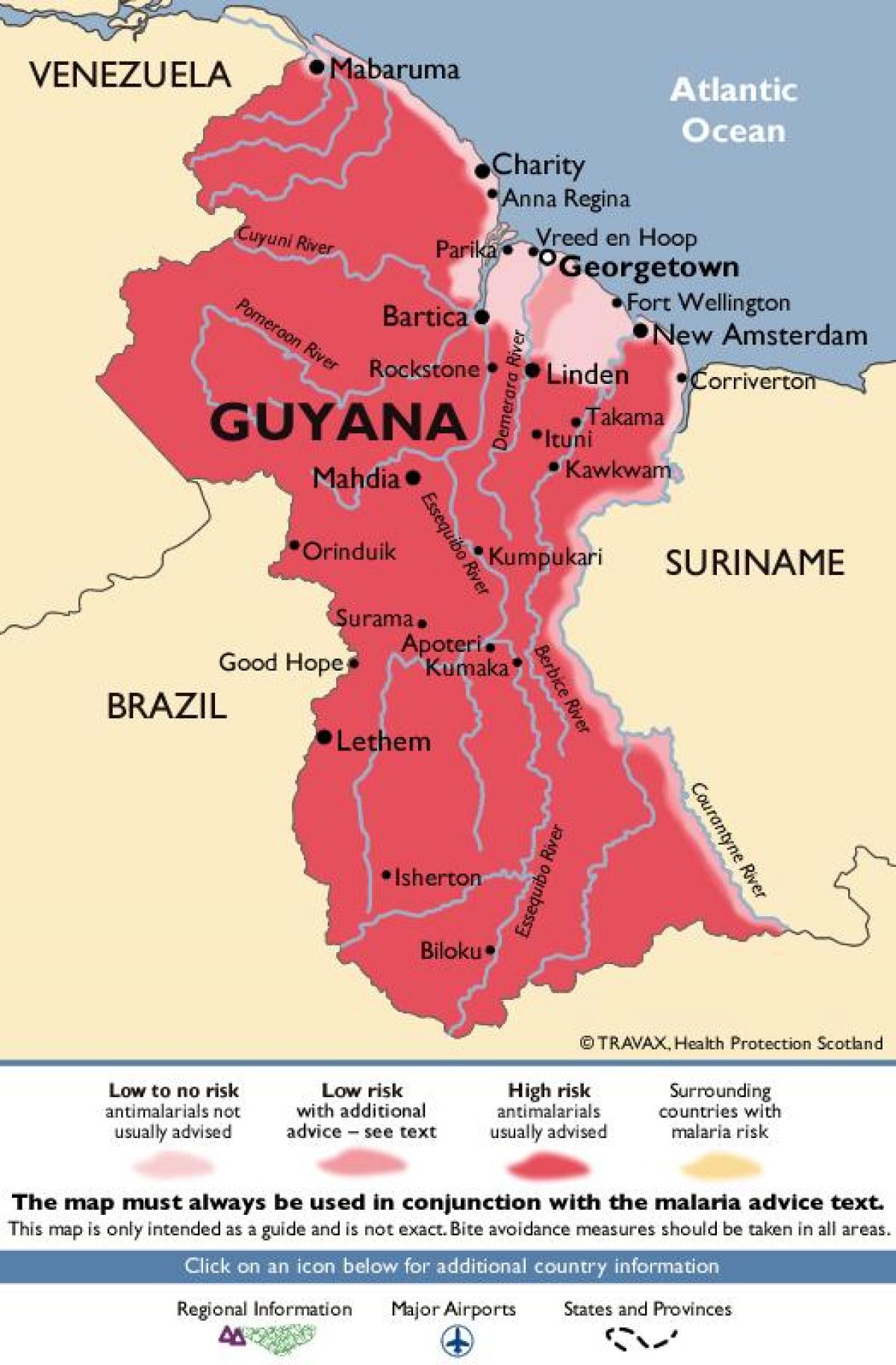 mapi Gvajani